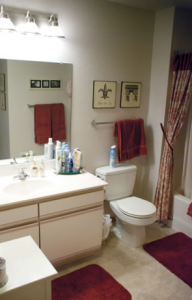 Clybourn Place - Bathroom