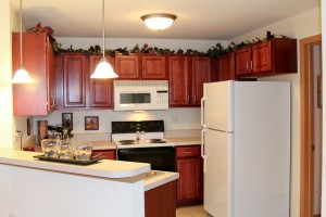Hawks Landing - Kitchen