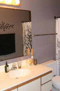 Pheasant Lane - Bathroom