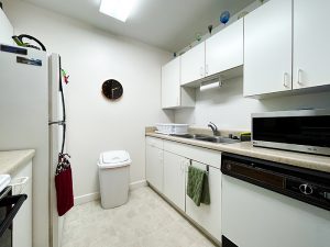 Pheasant Run I kitchen