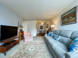 The Sovereign apartments living room