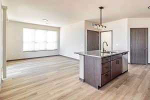 an empty apartment kitchen looking into an empty living room